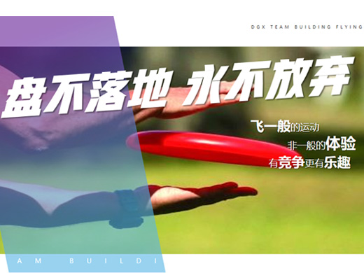 飞盘主题团建 